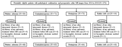 Machine-Learning Classifiers in Discrimination of Lesions Located in the Anterior Skull Base